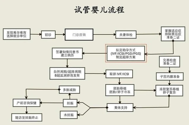 美国试管婴儿流程是什么图1.jpg