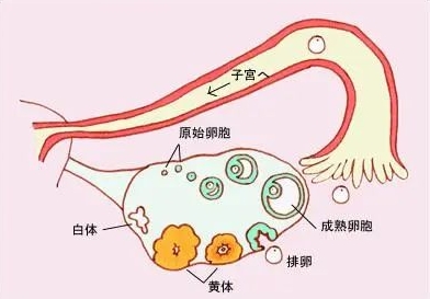 微信截图_20240817113816