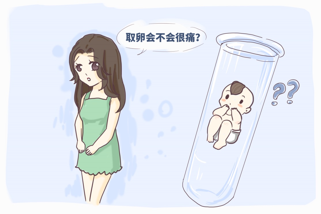 美国试管：定制你的生育未来