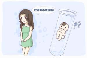 美国试管：定制你的生育未来