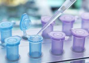美国FSAC试管婴儿核心优势：高成功