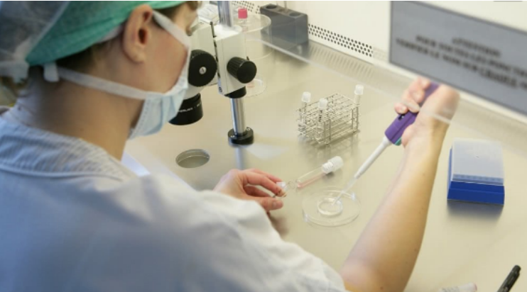 美国试管婴儿流程详解：从前期检查到胚胎移植的科学步骤