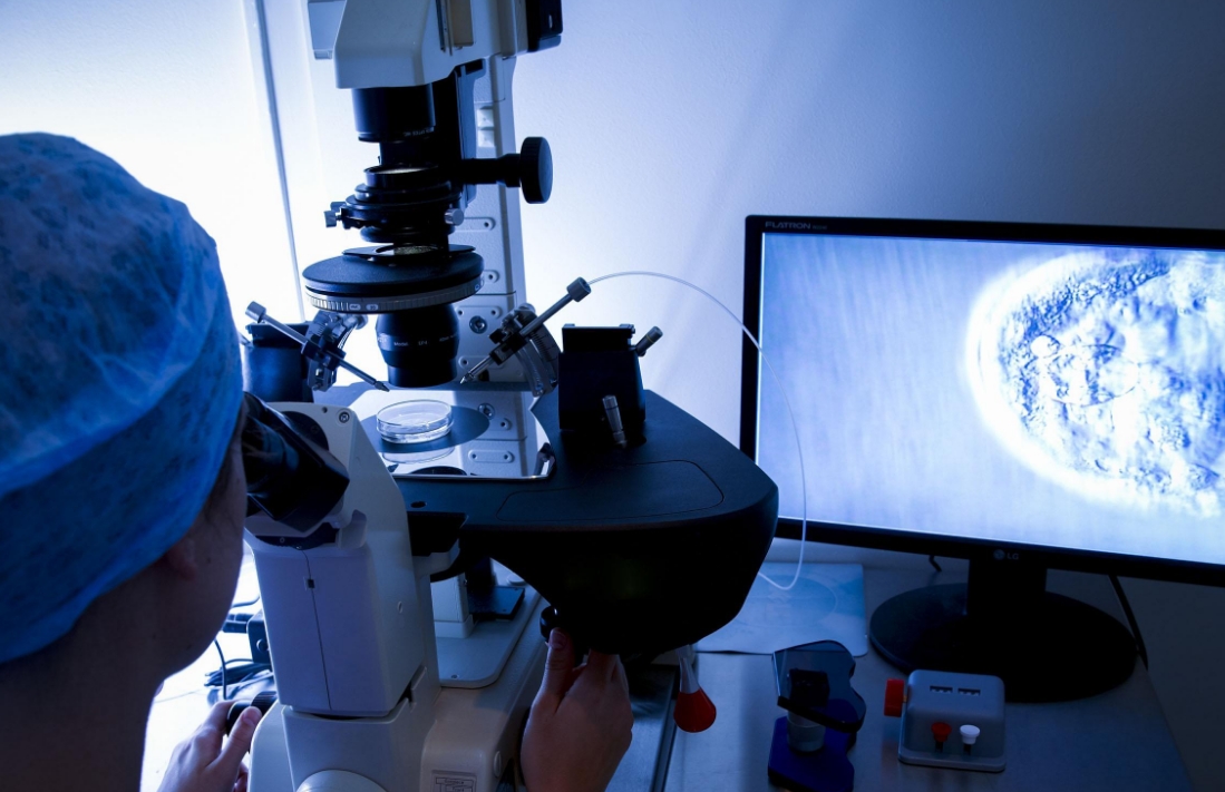 美国试管婴儿成功率解析：为何有人一次成功，有人多次失败?