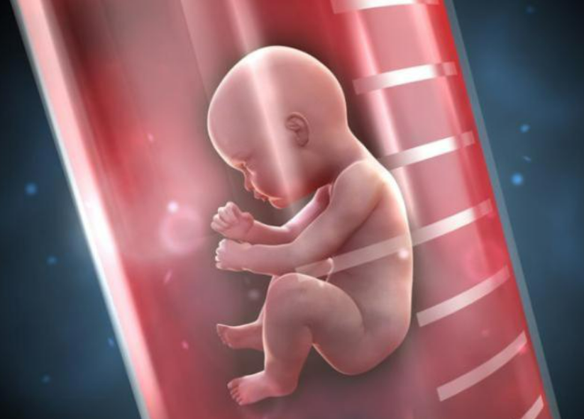 美国试管婴儿成功率解析：年龄、技术选择与个体化方案的影响