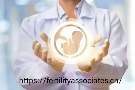 试管婴儿：揭开辅助生殖技术的神秘面纱