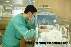 试管婴儿：现代医学如何突破生育