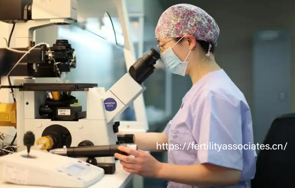 探索试管婴儿：现代医学的生育新希望