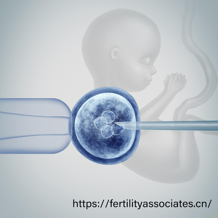 全球视角：2025年三代试管成功率地图——泰国78% vs 国内60%-68%