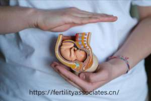 2025年美国三代试管成功率解析：年