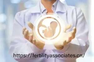 美国试管婴儿价格揭秘：费用明细