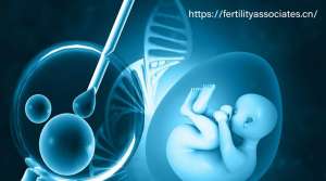 美国IVF：高成功率与先进技术的生