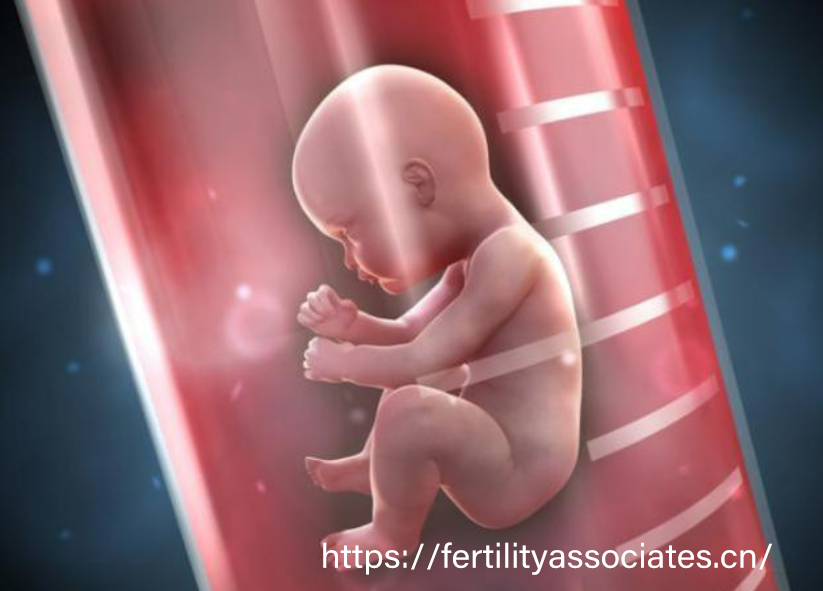 赴美生子签证难关：经济证明、医疗预约与回国约束力全解析