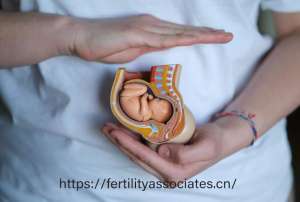 如何提高三代试管成功率?关键策略