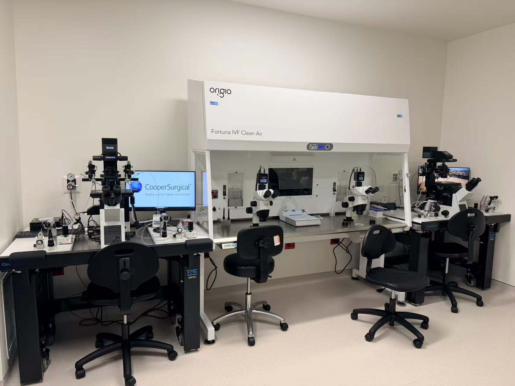 2025新美国试管成功率公布：不同年龄差距有多大?