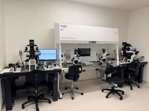 2025新美国试管成功率公布:不同